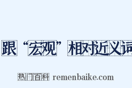 跟“宏观”相对近义词是什么意思的图片